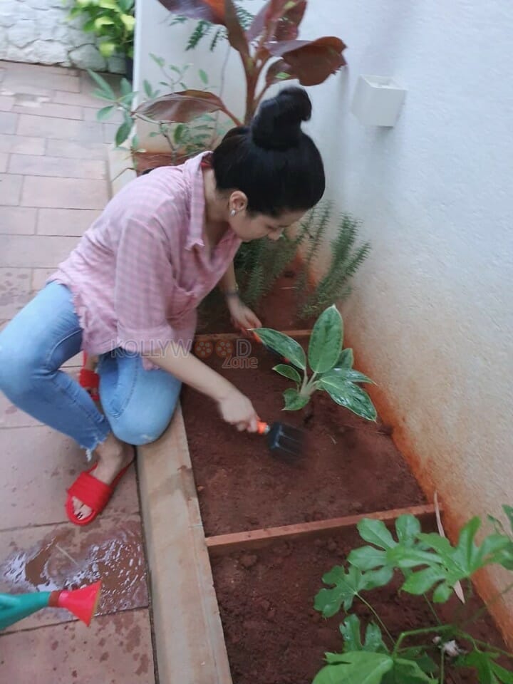 Actress Trisha Krishnan Gardening Photos