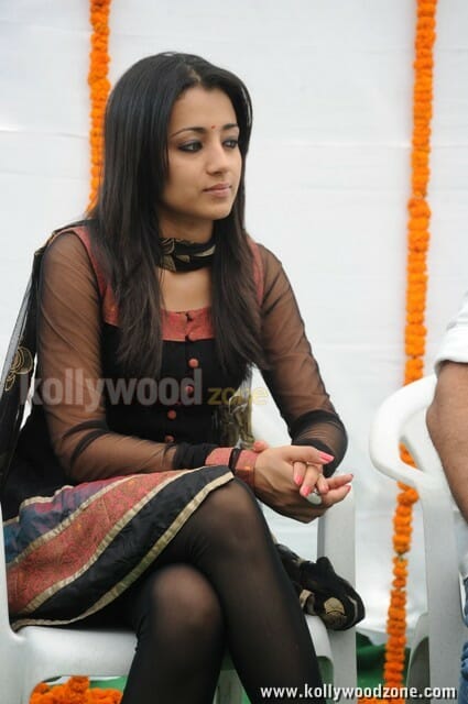 Actress Trisha Sexy Gallery Images