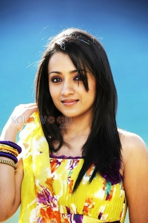 Actress Trisha Sexy Stills