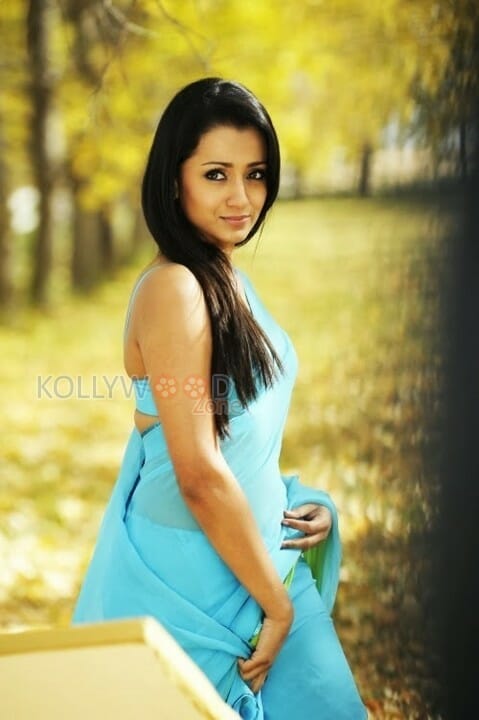 Actress Trisha Sexy Stills