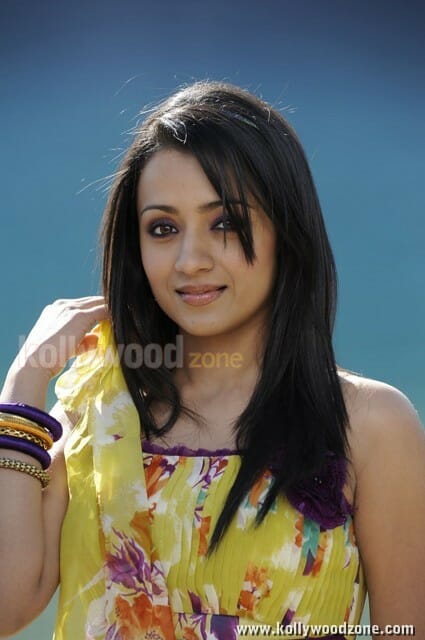 Actress Trisha Spicy Sexy Pictures