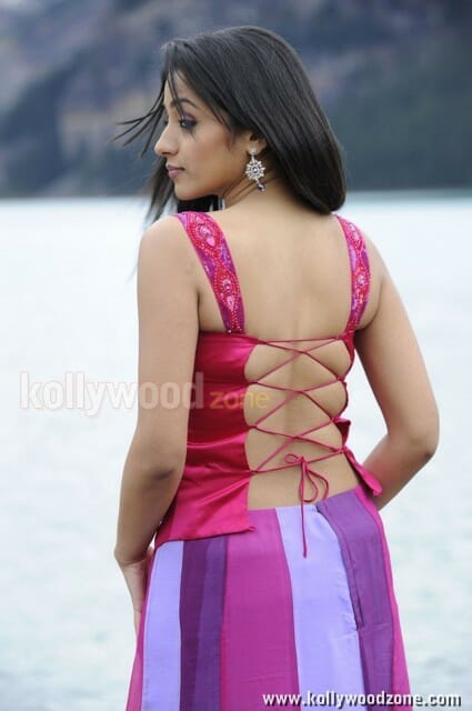 Actress Trisha Spicy Sexy Pictures