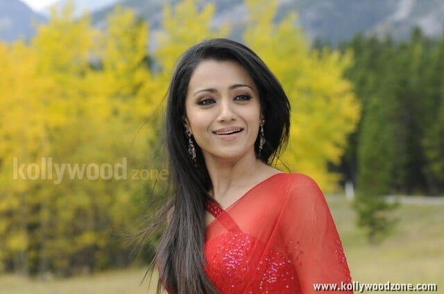 Actress Trisha Spicy Sexy Pictures