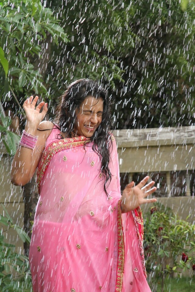 Actress Trisha Wet Saree Photos