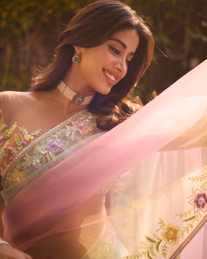 Alluring Jahnvi Kapoor in a Pastel Sheer Saree Pictures 02