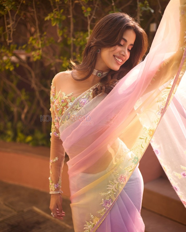 Alluring Jahnvi Kapoor in a Pastel Sheer Saree Pictures 05