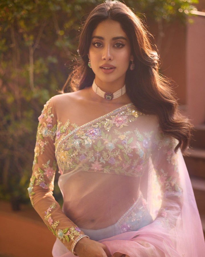 Alluring Jahnvi Kapoor in a Pastel Sheer Saree Pictures 06