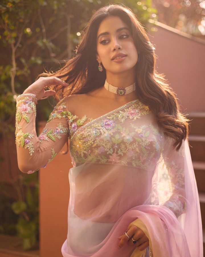 Alluring Jahnvi Kapoor in a Pastel Sheer Saree Pictures 07