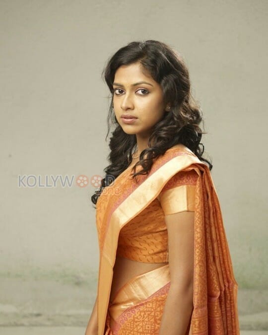 Amala Paul Saree Photos