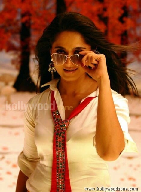 Anushka Shetty Hot Ragada Movie Pictures