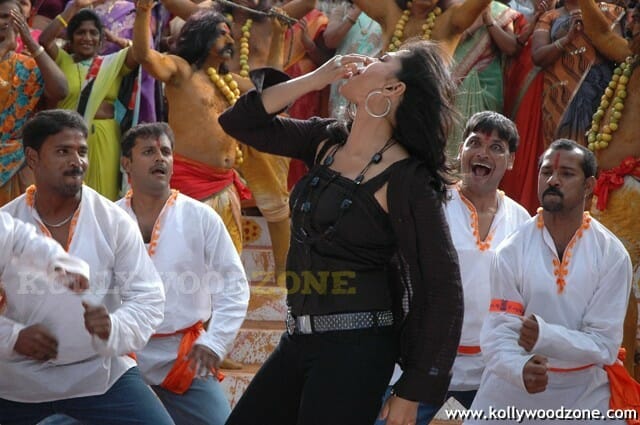 Anushka Shetty Sexy Pics In Panchakshari Movie