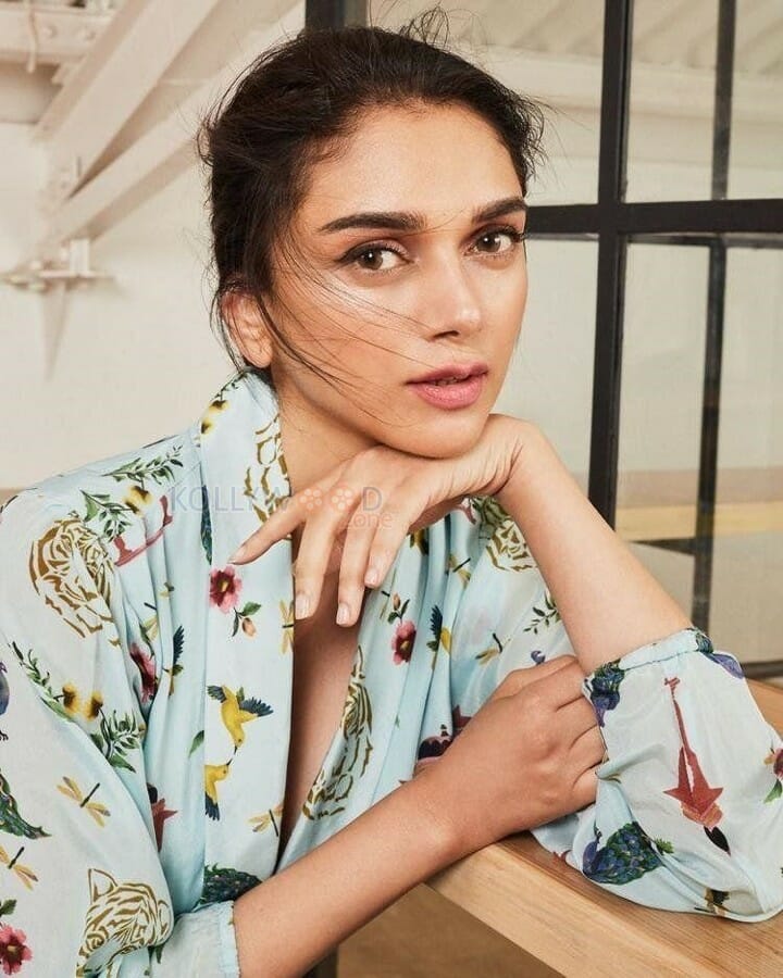 Beautiful Actress Aditi Rao Hydari Pictures