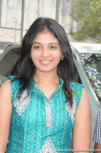 Beautiful Actress Anjali Photos