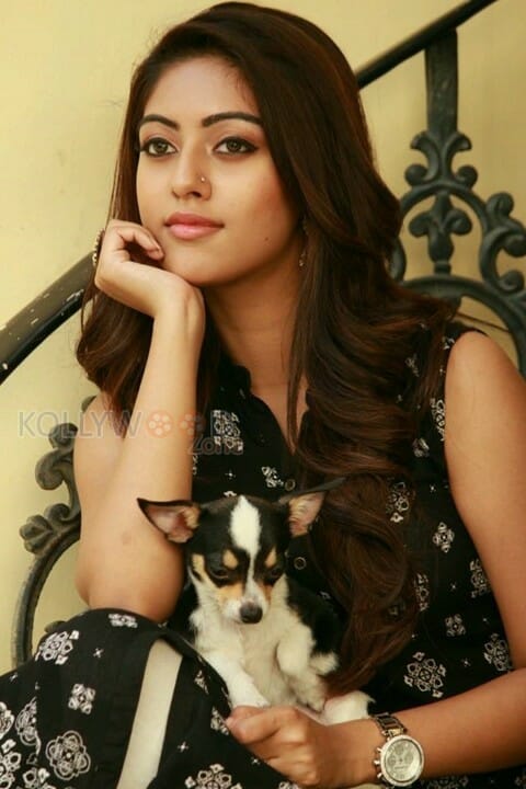 Beautiful Actress Anu Emmanuel Photos