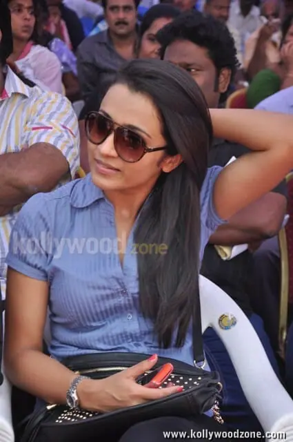 Beautiful Actress Trisha Krishnan Pictures 03 (27292) | Kollywood Zone