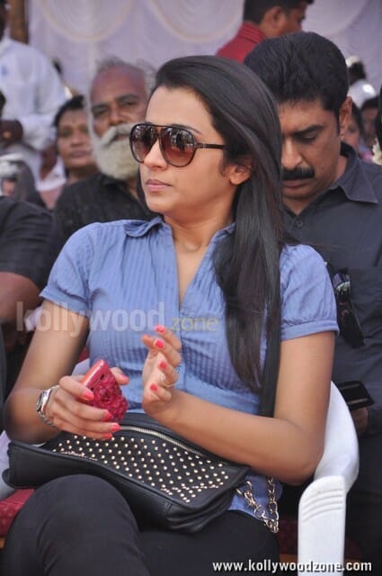 Beautiful Actress Trisha Krishnan Pictures