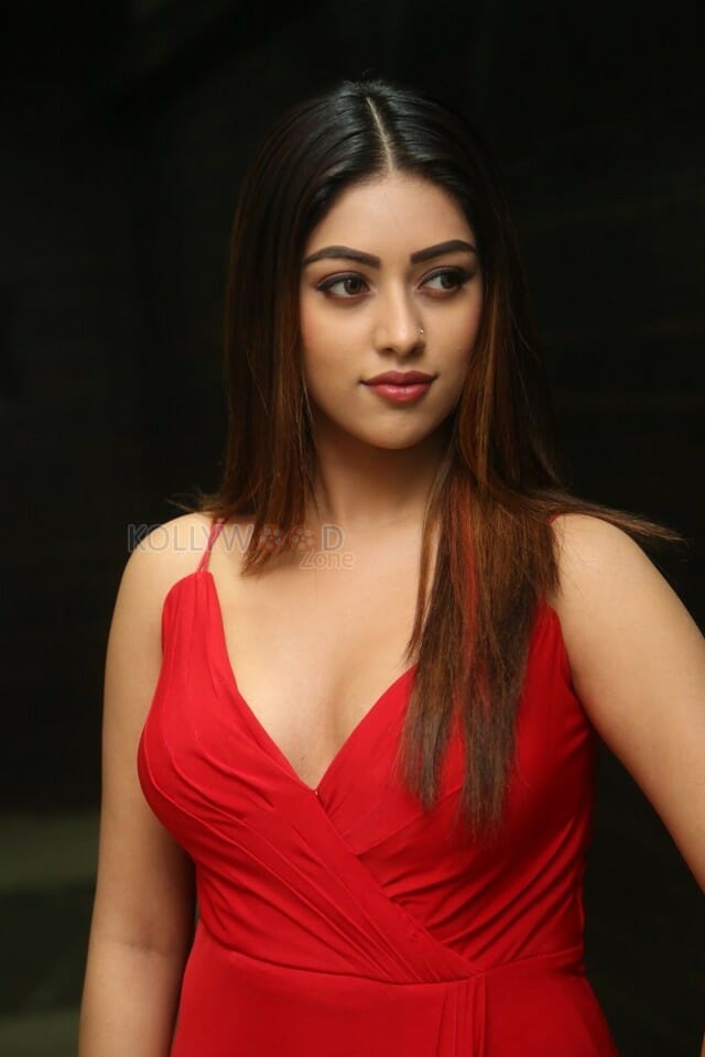 Beautiful And Sexy Anu Emmanuel Red Dress Photos