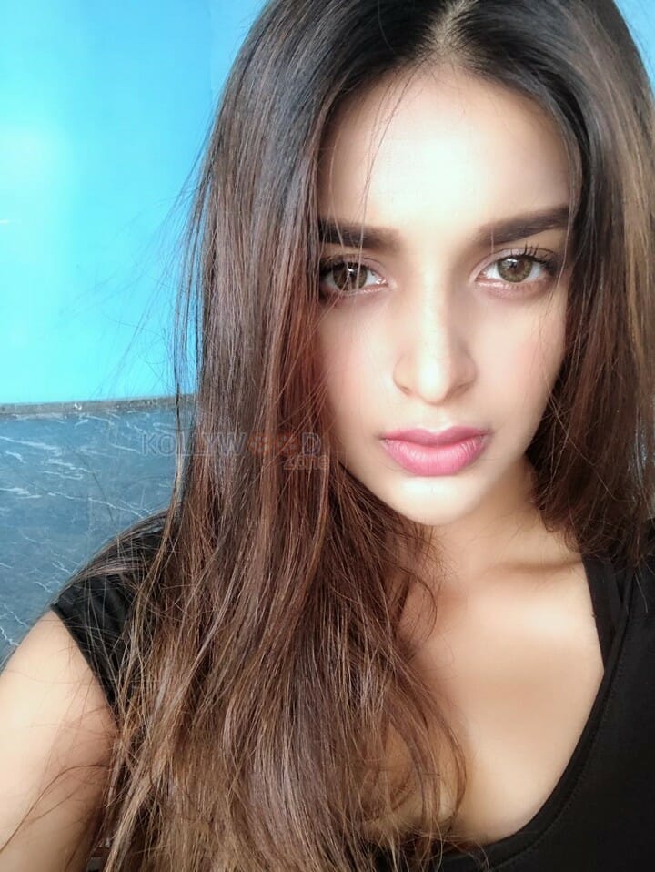 Beautiful And Sexy Niddhi Agerwal Photos