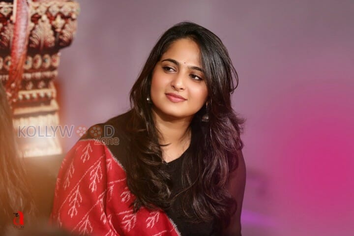 Beautiful Anushka At Rudramadevi Promotion Photos