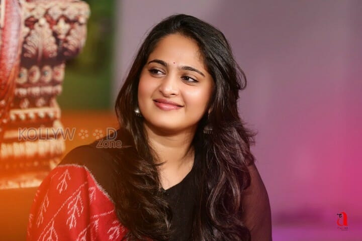 Beautiful Anushka At Rudramadevi Promotion Photos