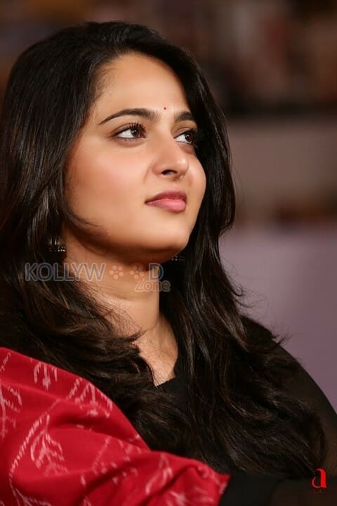 Beautiful Anushka At Rudramadevi Promotion Photos