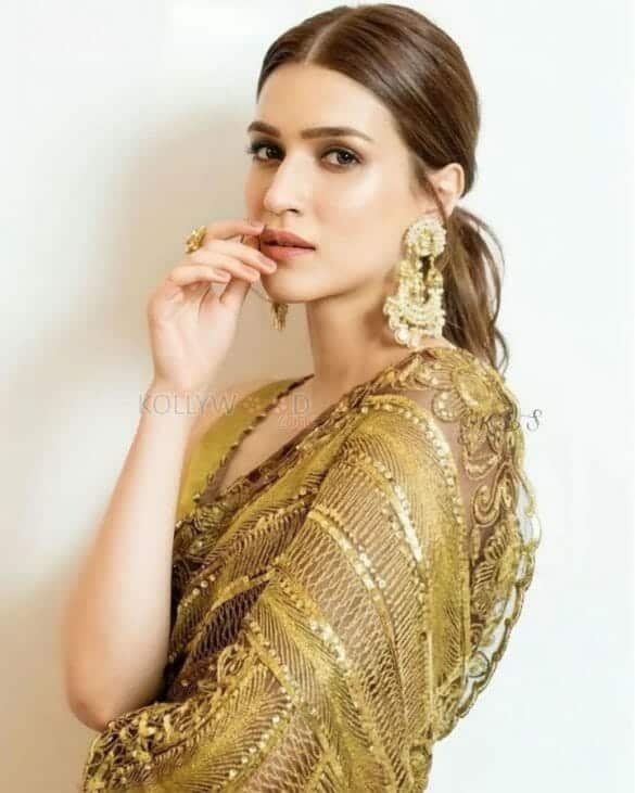 Beautiful Kriti Sanon In Saree Stills 01 (238641) | Kollywood Zone