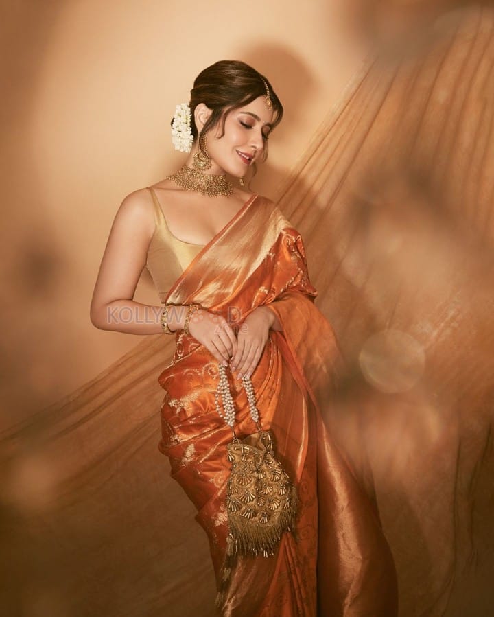 Beautiful Raashi Khanna in a Traditional Silk Saree with Sleeveless Golden Blouse Pictures 06