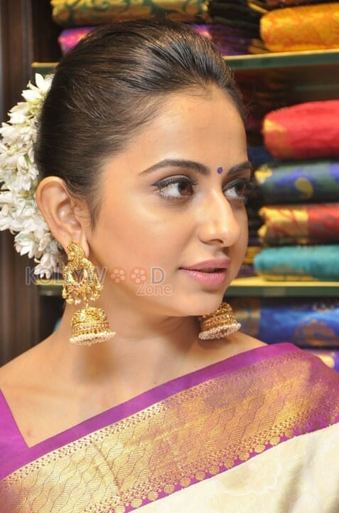 Beautiful Rakul Preet Singh In Saree Photos