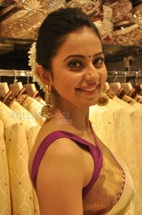 Beautiful Rakul Preet Singh In Saree Photos