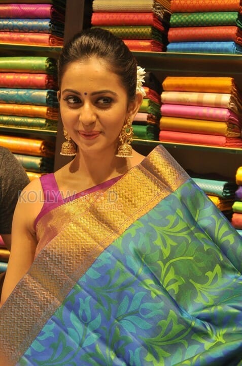 Beautiful Rakul Preet Singh In Saree Photos