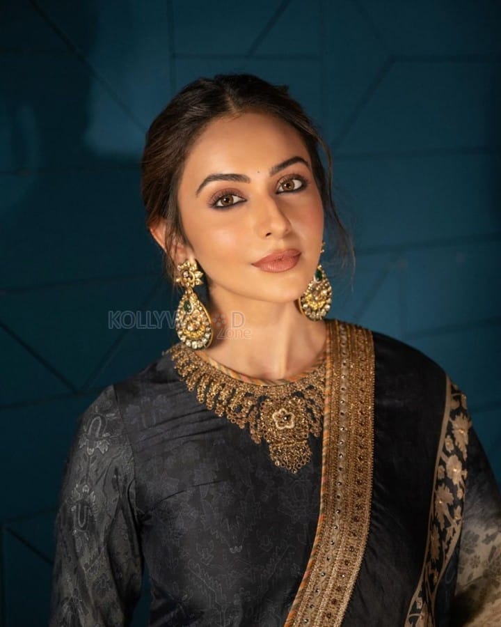 Beautiful Rakul Preet Singh in a Grey Salwar Suit Photos 02