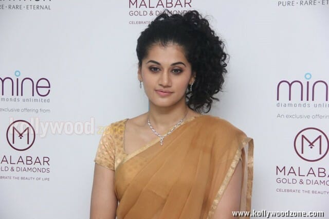 Beautiful Taapsee Pannu Photos