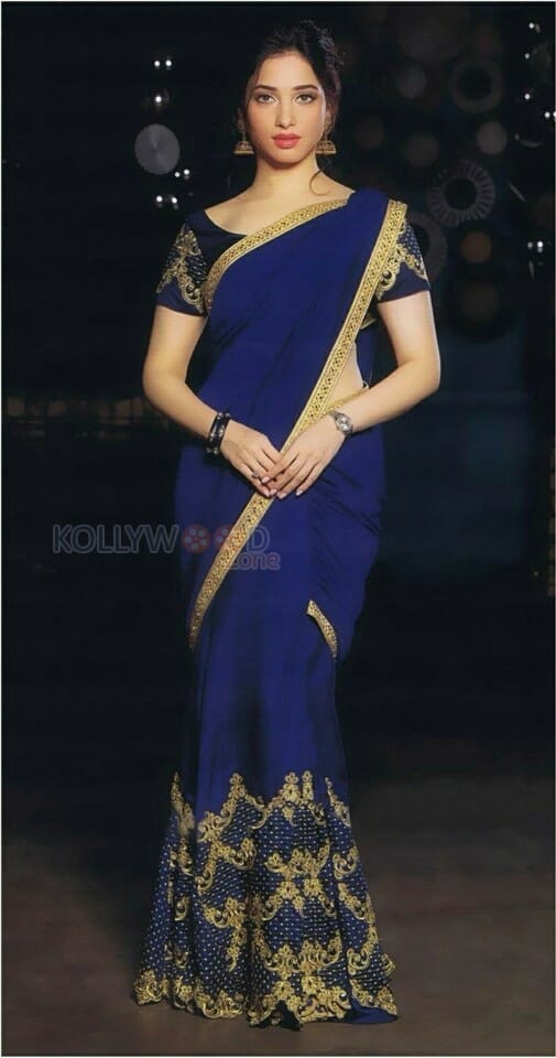 Beautiful Tamanna In Saree Photos