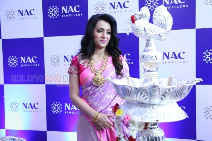 Beautiful Trisha At Nac Jewellers Launch In Kanchipuram Photos