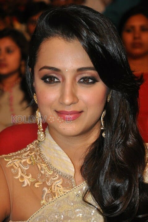 Beautiful Trisha Saree Photos