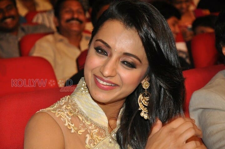 Beautiful Trisha Saree Photos