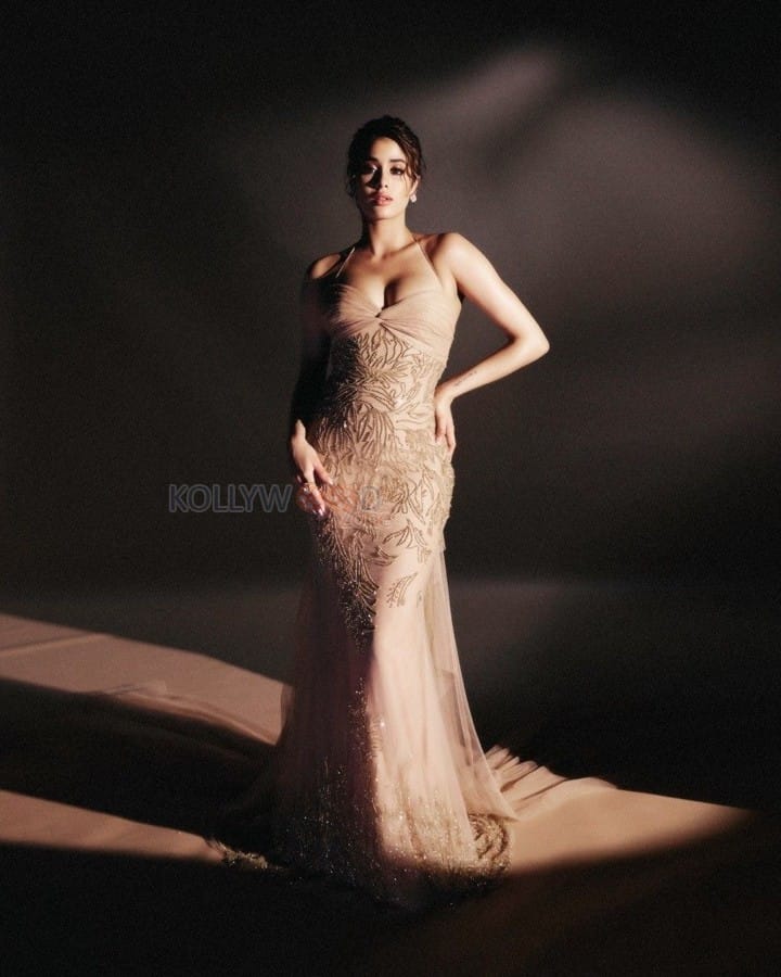 Charming Janhvi Kapoor in a Gorgeous Tulle Gown Photos 02