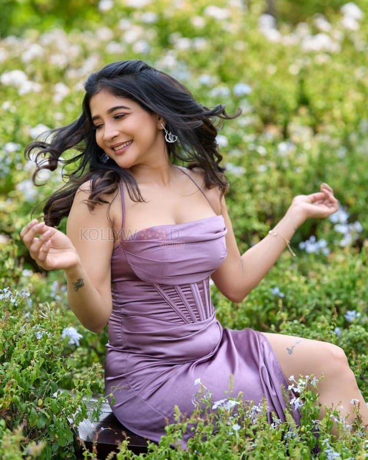 Charming Sakshi Agarwal in a Purple Gown Pictures 01