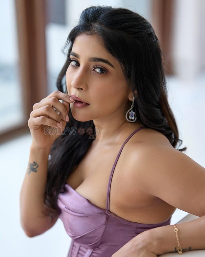 Charming Sakshi Agarwal in a Purple Gown Pictures 02