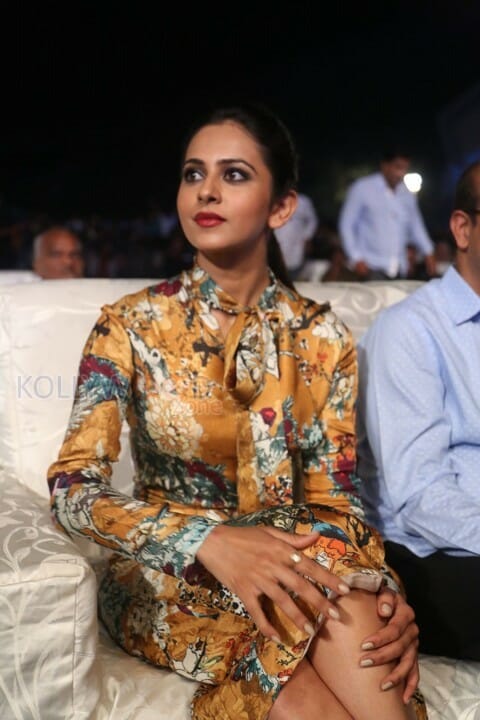 Cute And Sexy Actress Rakul Preet Singh Photos