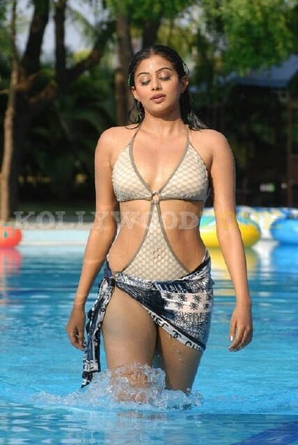 Cute Priyamani Sexy Pictures