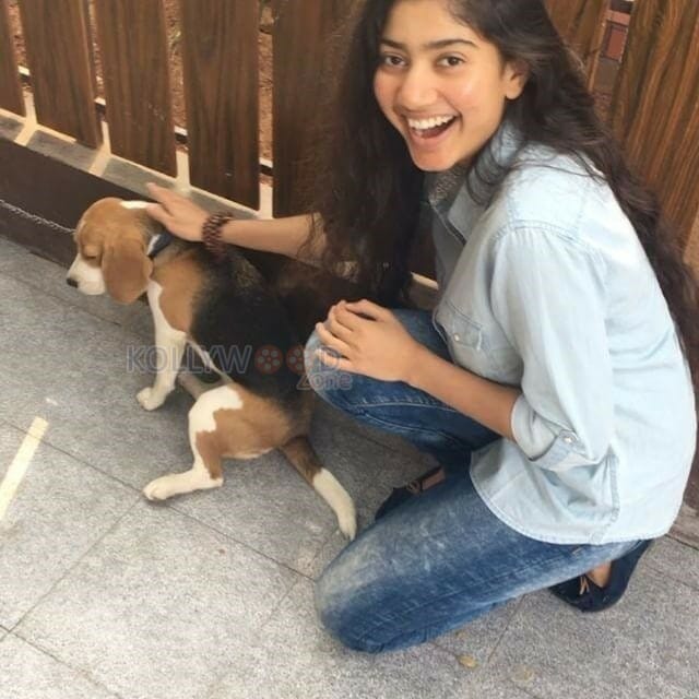 Cute Sai Pallavi Photos Rare Unseen Photos