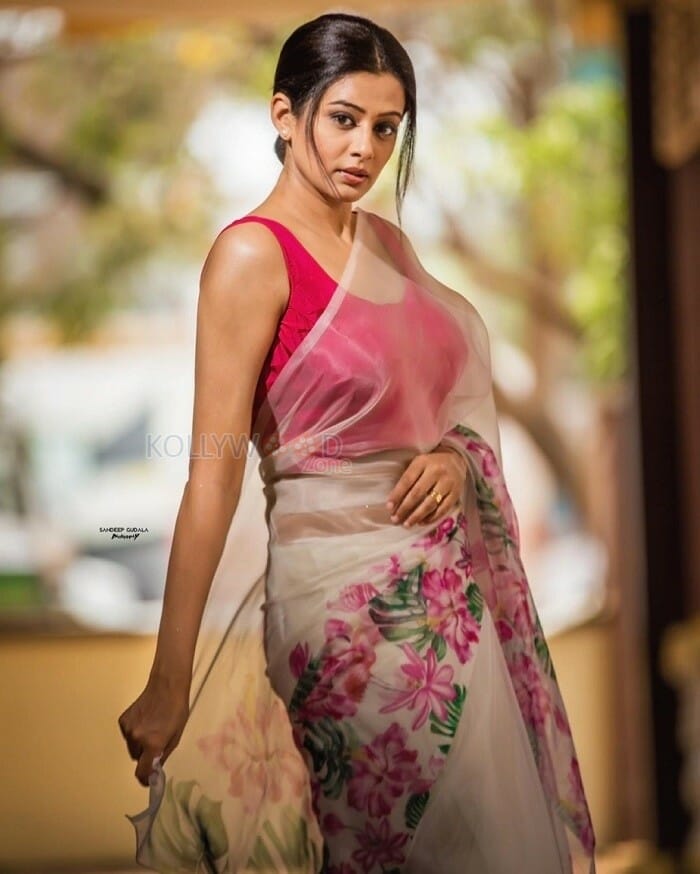 Cyanide Movie Heroine Priyamani Sexy Saree Photos