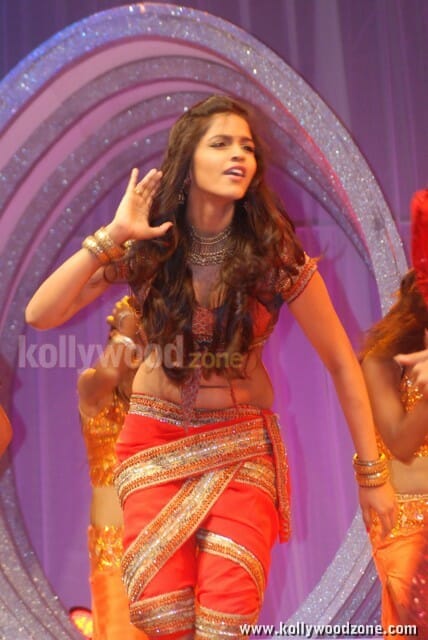 Dhansika Dancing At Tamil Women Entertainers Award Ceremony Photos