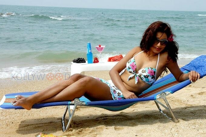 Dimple Chopade Hot Bikini Photos