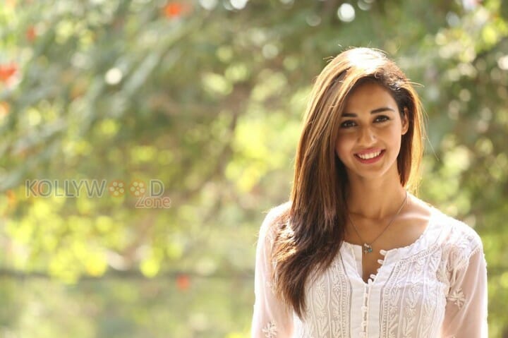 Disha Patani Sexy Stills