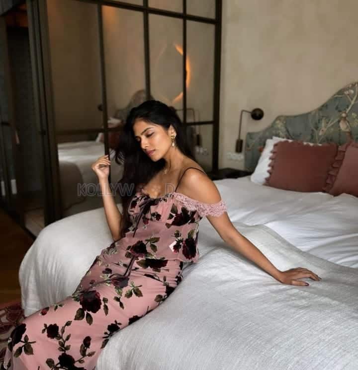 Dream Queen Malavika Mohanan in a Vienna Hotel Photos 01