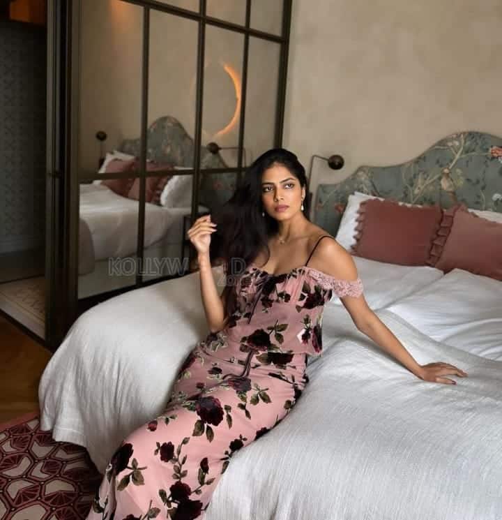 Dream Queen Malavika Mohanan in a Vienna Hotel Photos 03