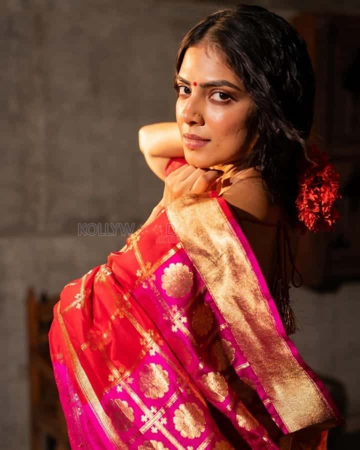 Dusky Sexy Beauty Malavika Mohanan In A Red Silk Saree Pictures 03 ...