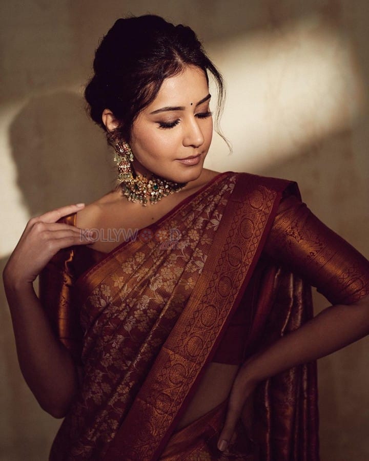 Elegant Raashi Khanna In A Rust Red Banarasi Silk Saree Photoshoot ...